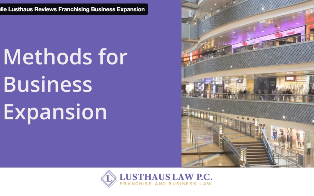 Video Blog: Julie Lusthaus Reviews Methods for Business Expansion